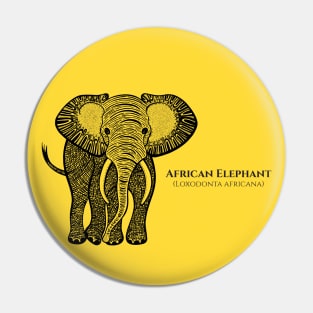 African Elephant with Common and Scientific Names - animal design Pin