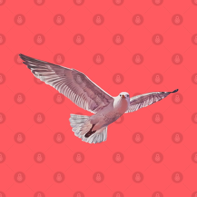 Pink Gull 2 - herring gull painting (no background) by EmilyBickell