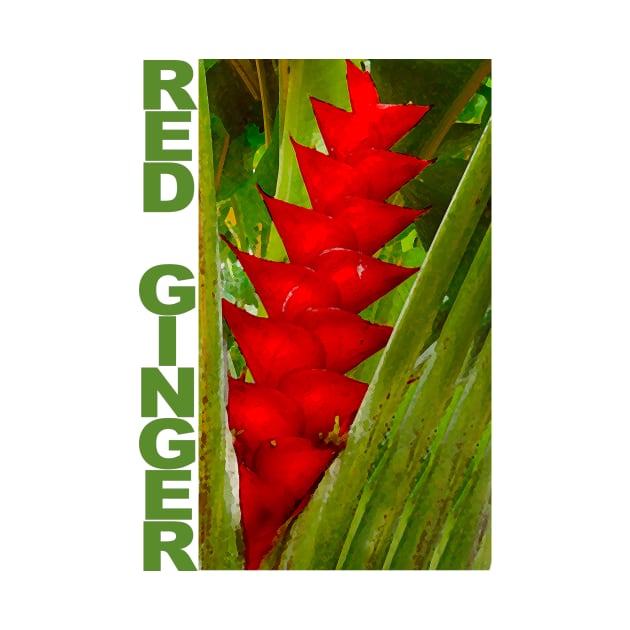 Red Ginger on Kauai by Verl
