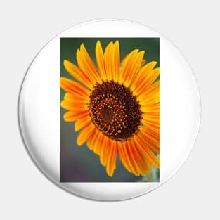 Sunflower Pin