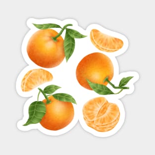 Tangerines Magnet