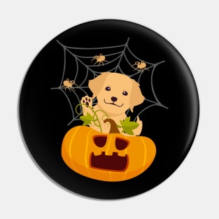 Golden Retriever Puppy in Spooky Halloween Pumpkin and Spider Web Pin