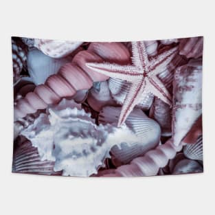 Beach Seashell Starfish Summer Caribbean Surfing Tapestry