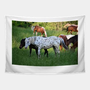 Spotted horse Tapestry