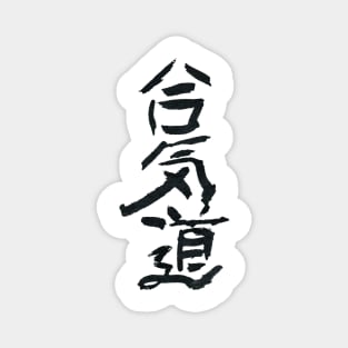 Aikido Magnet