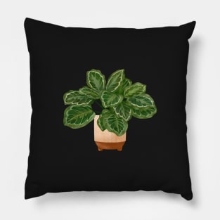 Calathea Medallion- Prayer Plant, Potted Plant Illustration Pillow