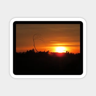 CK Sunset No.1 Magnet