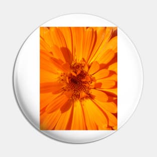 Calendula Pin