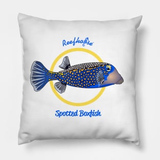 Spotted Boxfish Pillow