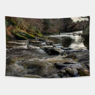 The River Almond Tapestry