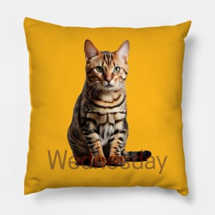 Wednesday cat. Get ready! Pillow