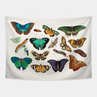 Exotic butterflies Tapestry