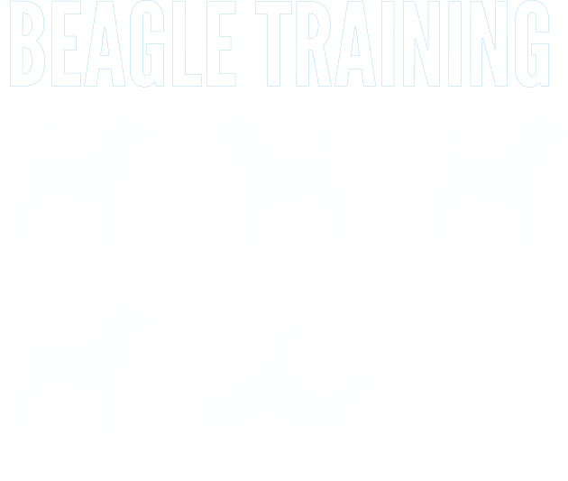 Beagle Training Beagle Dog Tricks Kids T-Shirt by DoggyStyles