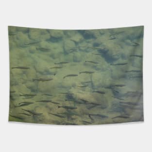 River Fish Tapestry