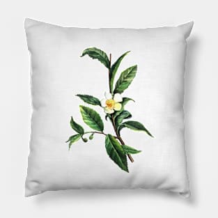 Watercolor Sketch Green Tea Pillow