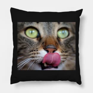 Cute Kitty Pillow