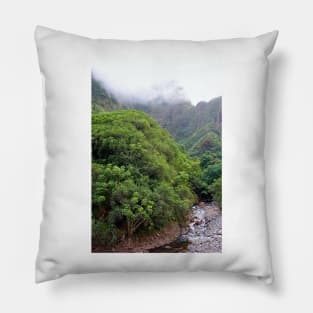 Iao Valley State Park Study 3 Pillow