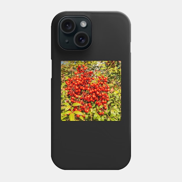 Berries Phone Case by thadz