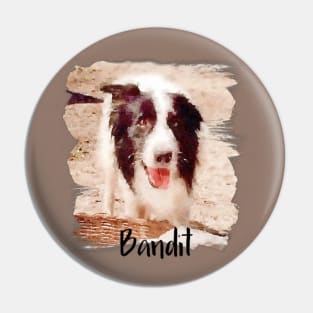 Bandit the Dog From Little House on the Prairie Pin