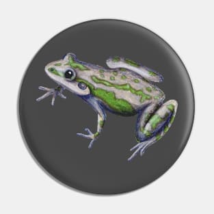 Spotted Chorus Frog :: Reptiles and Amphibians Pin