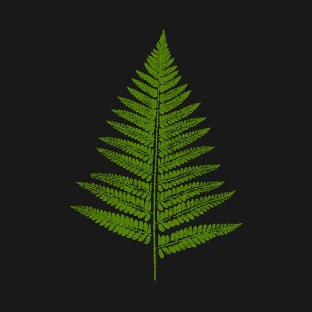 Fern Leaf - Stamp by Nikokosmos