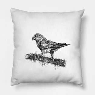 Parakeet Bird Pillow