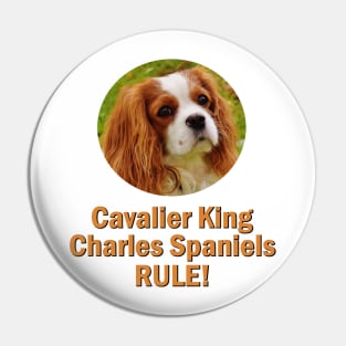 Cavalier King Charles Spaniels Rule! Pin