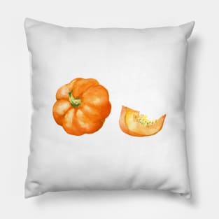 Big Pumpkin. Watercolor Painting Pillow