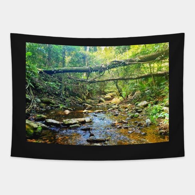 Riverbed Mountain Stream Tapestry by Felicity-K