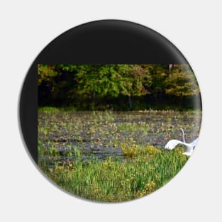 "Egret Beauty" Pin