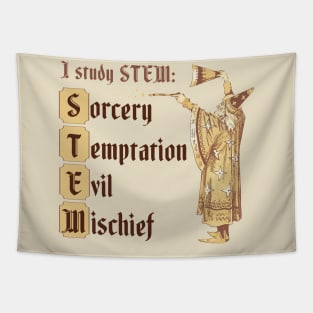 STEM wizard Tapestry