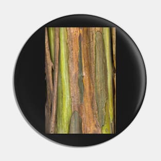 Green Bark 3 Pin