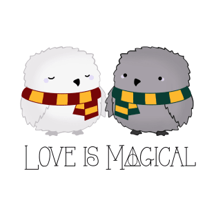 Love is Magical T-Shirt