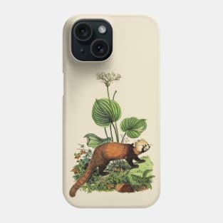 RED PANDA Illustration Phone Case