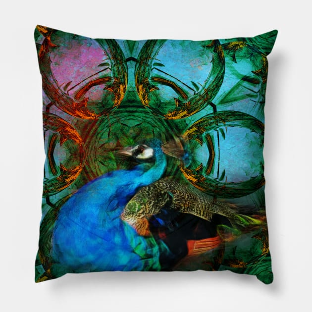 The Universe of the Peacock Pillow by hereswendy