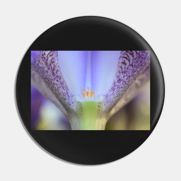 Exquisite iris Pin by ToniaDelozier