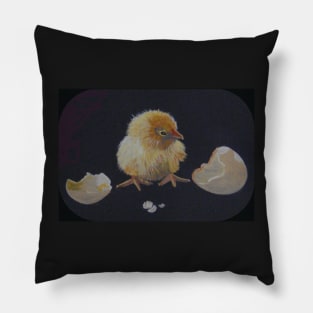 Chicken and egg Pillow