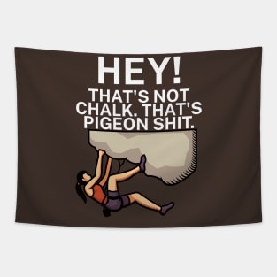 Hey Thats not chalk Thats pigeon shit Tapestry