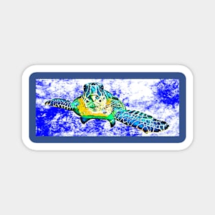 Cartoon Sea Turtle Magnet