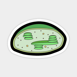 Chloroplast Magnet