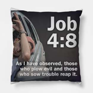 Job 4:8 Pillow