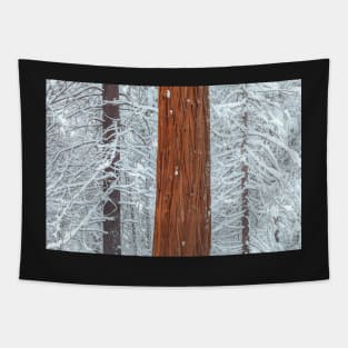 Winter Tapestry