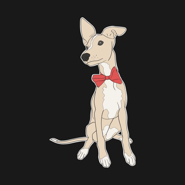 Cute fawn Italian Greyhound with bright pink bow by This Iggy Life