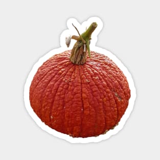 Orange Bumpy Pumpkin for Halloween Decoration Magnet