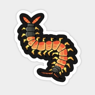 centipede Magnet