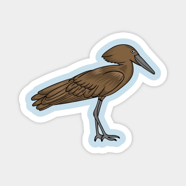 Hamerkop bird cartoon illustration Magnet by Cartoons of fun