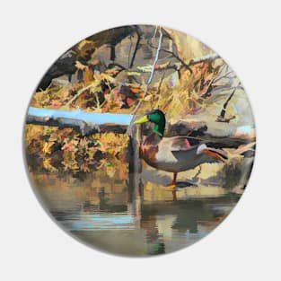 Mallard illustration Pin