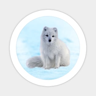 Save Arctic Fox Magnet