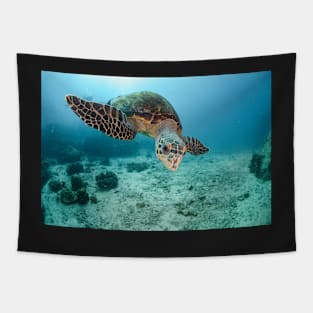 koh tao, white rock, hawksbill turtle Tapestry