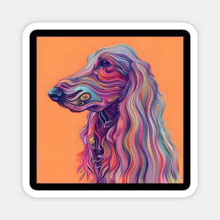 Afghan Hound in 70's Magnet